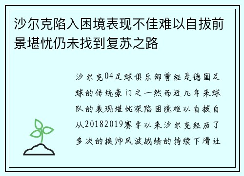 沙尔克陷入困境表现不佳难以自拔前景堪忧仍未找到复苏之路