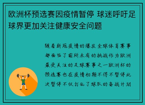 欧洲杯预选赛因疫情暂停 球迷呼吁足球界更加关注健康安全问题