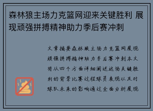 森林狼主场力克篮网迎来关键胜利 展现顽强拼搏精神助力季后赛冲刺
